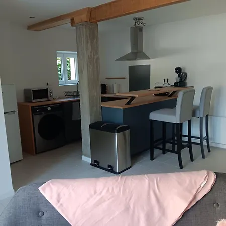 Les Romarins Tatil Evi Lencloître